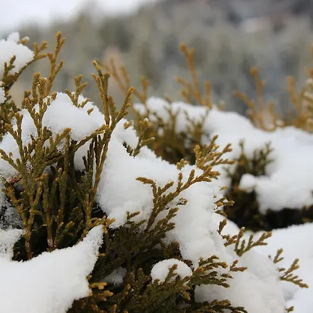 Landgasthof Lenzer בית הארחה 3*